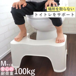 gC ݑ gCX[YXebv M gCݑ gCg q i qǂp Xebv ӂݑ u Xebv gCg[jO 񒣂 c qǂ LbY 21cm ֔