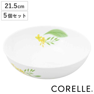 {E 21.5cm CORELLE R[ m[uCG[ KX 5Zbg i H@Ή dqWΉ I[uΉ    ₷ v ϕ T_  ԕ j