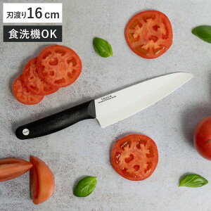  16cm Z~bN TOUCH i O  H@Ή Lb`iCt { 16Z` m ق傤  Lb`c[ 炦 KтȂ ؂ꖡQ j