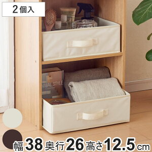 収納ケース SPACE-KIT インナーボックス 同色2個入り 横型ハーフ 幅38×奥行26×高さ12.5cm ( カラーボックス 収納 収納ボックス 小物 小物入れ 引き出し 横置き 底板付き 折りたたみ 取っ手付き