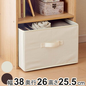 収納ケース SPACE-KIT インナーボックス 布 幅38×奥行26×高さ25.5cm ( カラーボックス 収納 収納ボックス 小物 小物入れ 引き出し 底板付き 折りたたみ 取っ手付き 小物収納 衣類 おもちゃ キッ