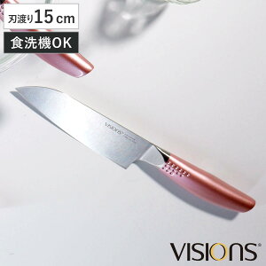 O 15cm VISIONS H@Ή i  \ Lb`iCt  I[XeX 15Z` Kтɂ ؂ꖡQ   ̌^ 炦pi sN 