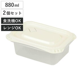 保存容器 880ml Easy Pack 長方形 L 2個組 （ 容器 フードケース 電子レンジ 冷凍ご飯容器 冷凍保存 食洗機対応 電子レンジ対応 日本製 蒸気弁 フタをしたままコンテナ 弁当箱 常備菜 つくり置き フルーツ おかず 角型 大容量 ）