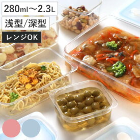 保存容器 Easy Clean 密閉保存容器 浅型 深型 280ml 460ml 640ml 1L 1.3L 2.3L S M L （ 日本製 食洗機対応 電子レンジ対応 プラスチック 密閉 保存 食品保存容器 四角 角型 作り置き 常備菜 食品保存 おかず 空気弁 中が見える ）