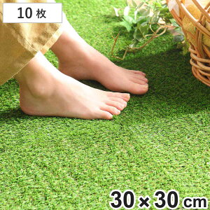 lH WCg^C 30×30cm Ő 10Zbg i WCg}bg WCg lH A  10 `   x_ eX oRj[  GNXeA K[fjO }b