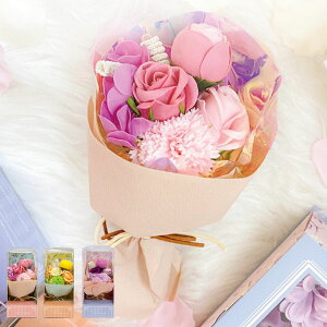  V[{Wlu[P Ԃ̃J^`̓ Q-FLA i C  C bNX v[g  u[P ԑ ΂̍ Mtg oXObY oXpi  ϔ {bNX j