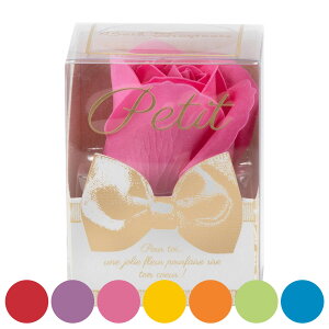 \[vt[ Petit  V{t[ Ԃ̃J^`̓ Q-FLA i C  C bNX v[g  Mtg{bNX ΂̍ Mtg oXObY oXpi  ϔ 