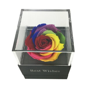 IuWF C{[{bNX vU[uht[ i KN o   WG[{bNX t[ LO Mtg 蕨 LO ̓ [Y Jt C{[   C