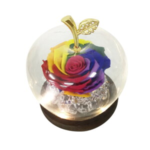 e[uv LEDC{[OXh[ vU[uht[ i KN o   LEDCg KXh[ t[ LO Mtg 蕨 ̓ [Y Jt C{[ KX 