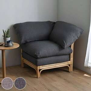  R[i[\t@ ʍ47cm Breeze i ^ u[Y \t@ NbV CX ىƋ i p[\i\t@ R[i[ \t@[ 1P و֎q ][g gݍ킹 O[ n j