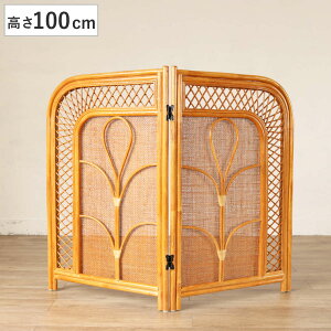  XN[ ܂ 100cm ՗ ^ i   Ԏd؂ Ƌ ^ ِ AWA ][g j