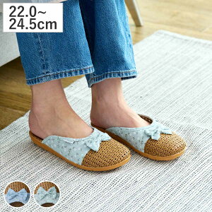 Xbp bZ [V[Y 22.0`24.5cm i ėp  ɂ T_ p { EVA ԕ 킢 ҂ݍݕ fB[X ԕ  ֐ bV ʋC ̓ Mt