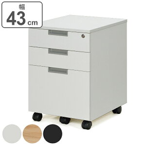 y@lz fXNS o 3i Assort 43cm i  TChS fXNTCh [ ގ[ t fXN p\RfXN LX^[t o [NfXN  