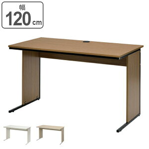 【法人限定】 デスク ワーキングデスク 幅120cm×奥行60cm ワークデスク ( 送料無料 机 パソコンデスク オフィスデスク コンパクト 120 PCデスク 学習机 勉強机 つくえ 平机 配線収納 奥行き60 セ