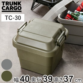収納ボックス 幅40×奥行39×高さ37cm トランクカーゴ スタンダード 30L TC-30 （ 座れる 収納ケース 収納 ボックス フタ付き ケース 頑丈箱 工具箱 プラスチック アウトドア 持ち手付き 日本製 おしゃれ コンテナ ）