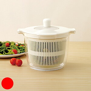 T_Xsi[ LIBERALISTA xX^ i ؐ؂ ؐ R_[ Xsi[ ؂ 蓮 ] 炦 {E U  􂦂 ؂̐؂ j