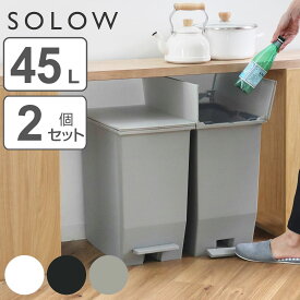 【レビュー特典付き】 ゴミ箱 45L SOLOW 同色2個セット ペダルオープンスリム （ ごみ箱 45リットル ソロウ 同色 2個 ペダル式 ふた付き 両開き 分別 棚下 スリム キッチン カウンター下 角型 高さ揃う シンプル おしゃれ ）