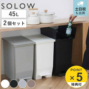 �y���r���[���T�t���z �S�~�� 45L SOLOW �\���E ���F2�Z�b�g �y�_���I�[�v���X���� �i ���ݔ� 45���b�g�� ���F 2�� �y�_���� �ӂ��t�� ���J�� ���� �I�� �X���� �L�b�`�� �J�E���^�[�� �p�^ ��