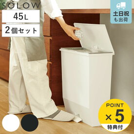【レビュー特典付き】 ゴミ箱 45L 同色2個セット SOLOW ソロウ ペダルオープンワイド （ ごみ箱 45リットル ペダル式 ふた付き 棚下 奥行23 カウンター下 分別 スリム キッチン 角型 ワイド シンプル おしゃれ ）
