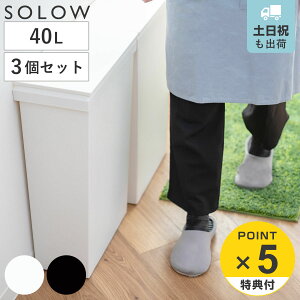 yr[Ttz S~ 40L SOLOW \E ܂̌yȃ_Xg{bNXCh F3Zbg i ݔ 40bg ӂt Ch ܌ ȒP  hH RۉH LX^[t