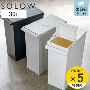 【レビュー特典付き】 SOLOW 棚下で使える スリムダストボックス レバーオープン30L ( ごみ箱 30リットル ソロウ ダストボックス 棚下 OK 分別 スリム ふた付き おしゃれ シンプル フラップオ