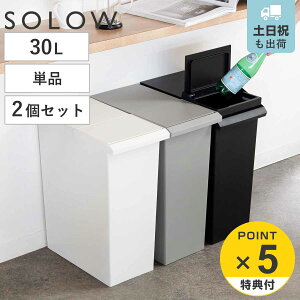 SOLOW �I���Ŏg���� �X�����_�X�g�{�b�N�X �P�i ���F2�Z�b�g ���o�[�I�[�v��30L �i ���ݔ� �g�X�e 30���b�g�� �_�X�g�{�b�N�X �I�� OK ���� �ӂ��t�� ������� �V���v�� �X���� �t���b�v�I�[�v