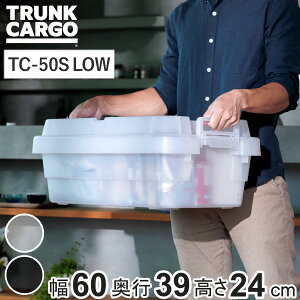 [{bNX 60×s39×24cm gNJ[S X^bLO NA^Cv 30L TC-50S LOW i X  [P[X [ {bNX 䔠 t^t P[X XgbN XgbJ[ vX`b