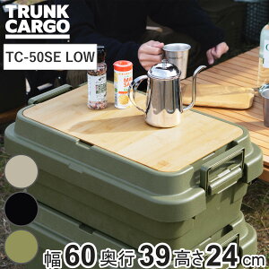 ���[�{�b�N�X �g�����N�J�[�S EASY GRIP 30L ��䔠 TC-50SE LOW �i ��60×���s39×����24cm ����� ���O �X�^�b�L���O ���[ �{�b�N�X �P�[�X �t�^�t�� �R���e�i �H� �v���X�`�b�N �A�E�g�h�A ������