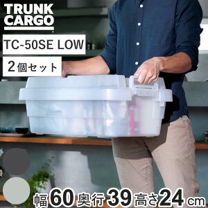 ���[�{�b�N�X �g�����N�J�[�S EASY GRIP �����i 30L TC-50SE LOW 2�Z�b�g �i ��60×���s39×����24cm �N���A�^�C�v �N���A ���X ����� ���[�P�[�X �{�b�N�X ��䔠 �t�^�t�� �P�[�X �X�g�b�N �X�g�b�J