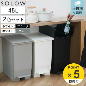 �y���r���[���T�t���z �S�~�� 45L SOLOW �y�_���I�[�v���c�C�� �F�Ⴂ�Z�b�g �z���C�g×�u���b�N �z���C�g×�O���[ �i ���ݔ� 45���b�g�� �y�_���� �ӂ��t�� ���J�� ���� �I�� �J�E���^�[�� �c�C