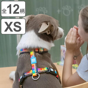 n[lX ^ XS }bNX[[  i p pn[lX  y Eɂ ɂ 킢  ȒP _炩 Sy K @\ ybg U ybgpi j