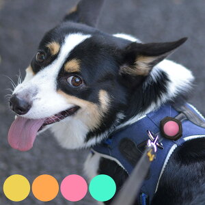 Cg U  [vZCt [ZgLED i pCg U [d LED h  邢  p  UCg S S ̖h~ ybgpi j