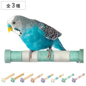 ~܂  [v ofB Ebhp[` NI[cp[` i p~܂ Ƃ܂ ̂ ObY ybgpi  Ƃ VR P[W CR  ybg XgXy ^ j