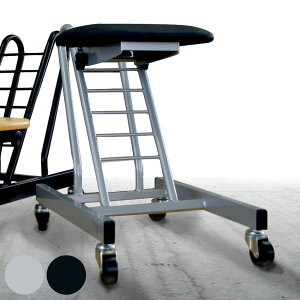 ƈ֎q LX^[t  6iK [uX}[g NbVʃ^Cv i [N`FA p  ֎q H H[ ֗ i Ə CX  Ɩpi `FA[ j