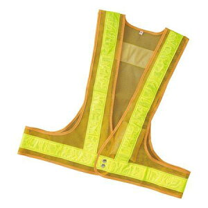 LEDxXg ˃^Cv t[TCY CG[/CG[ i SxXg ƕ H j