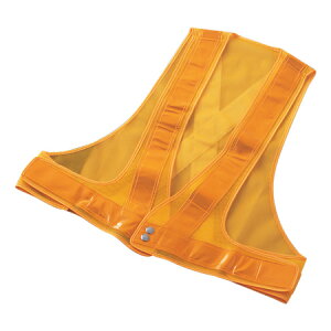 |X^˃xXg ˃^Cv t[TCY CG[/CG[ i Spi ƕ j