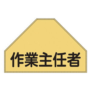 xXgp[bP BZ|3U 㕔wp  u u ƎC v [bP xXgp { i 㕔 wp ˃^Cvʃt@Xi[ Spi tN^[ j