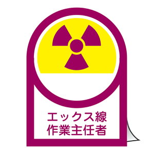 wbgp XebJ[ u GbNXƎC v 3.5×2.5cm HL|62 i Se[v \V[ TC }[N 戵 i SW 10 { W \ V[ e[v ڈ wbg 