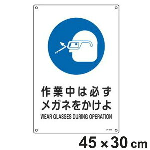 JISSW Ǝwp u ƒ͕KKl v 45×30cm LTCY i Ŕ Ώ\ SW JIS Wv[g W v[g v[gW \ W Spi S Sq { p