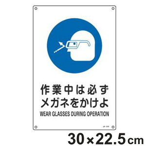 JISSW Ǝwp u ƒ͕KKl v 30×22.5cm STCY i Ŕ Ώ\ SW JIS Wv[g W v[g v[gW \ W Spi S Sq { 