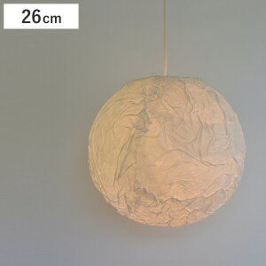 y_gCg a ał 26cm i Ɩ V aƖ 1 a a_ Ɩ 1y_g LED dC y_gƖ CeA V[OCg j