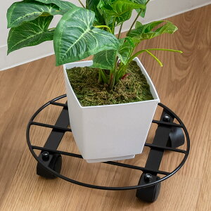 v^[X^h ~^ LX^[t RRn |bgvgg[[  ̂  K[fX^h K[fjOpi i | ԑ u K[f v^[bN ړ 