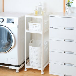 I[vbN SW TobT 3i i h[bN X LX^[ pi [ ObY 33cm bN Vv  Eߏ j