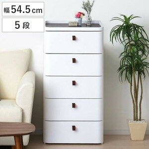 `FXg ^X o[Vu ؐV A[XzCg 5i 54.5cm i { i [P[X vX`bN [ o Bg[t ߗގ[ rO[ ߑP[X [{b