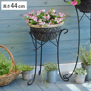 v^[X^h fR[VX^h 44cm i t[X^h ԑ  t[ X^h X`[ AؔX^h u |  v^[  j