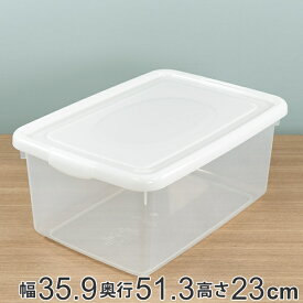 収納ケース 幅35.9×奥行51.3×高さ23cm フタ付き プラスチック 収納ボックス （ クローゼット収納 ベッド下 ふた付き 収納 衣装ケース 衣類収納 日本製 洋服収納 キッチンストッカー ストッカー 取っ手付き ）