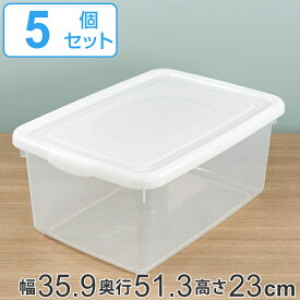 収納ケース 幅35.9×奥行51.3×高さ23cm フタ付き プラスチック 収納ボックス 5個セット （ 送料無料 クローゼット収納 ベッド下 収納 衣装ケース 衣類収納 日本製 洋服収納 キッチンストッカー ストッカー 取っ手付き ）