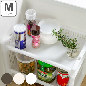 g[ M 36.3×s24.8×6.3cm e-bN [ i gC [gC [{bNX ςݏd X^bLO [bN ^ bN vX`bN bN VN[ Lb` 