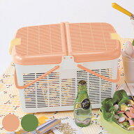 レジャーバスケット リオバスケット NO5 （ バスケット かご ピクニックバスケット プラスチック ピクニ…