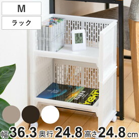 ラック M 幅36.3×奥行24.8×高さ24.8cm e-ラック 調味料ラック （ 収納ラック ペットボトル 収納 キッチンストッカー ペットボトル収納 スタッキング 積み重ね プラスチック キッチン収納 シンク下収納 ストッカー ）